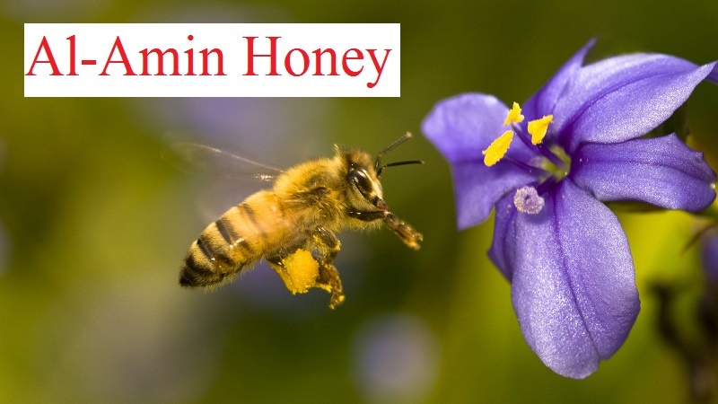 al-amin honey