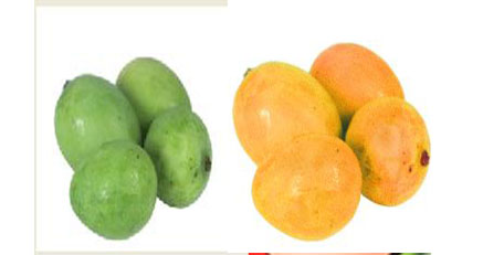 ফটোশপ এর যাদু [পর্ব-০৫] :: এবার আপনি তৈরি করুন কাঁচা আম থেকে পাকা আম