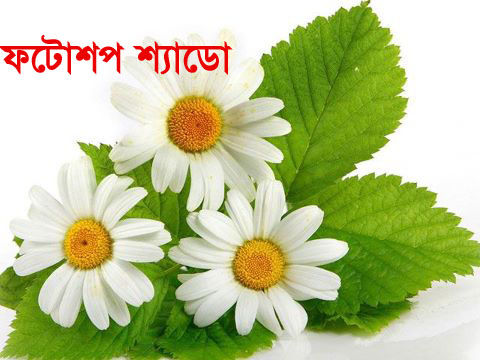 ফটোশপ এর যাদু [পর্ব-১৩] :: এবার আপনি নিজে নিজেই ছবির মধ্যেই দিন শ্যাডো