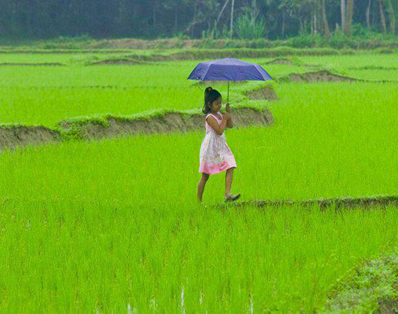 ফটোশপ এর যাদু [পর্ব-১৮] :: এবার আপনি নিজে নিজেই  বৃষ্টি তৈরী করুন