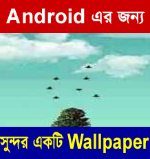 Andriod মজা [পর্ব-০৫] :: এবার আপনার Android mobile  এর স্ক্রিনে উড়ে বেড়াবে অনেক গুলি পাখি