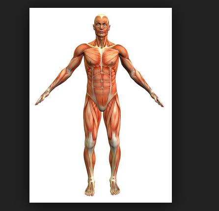 মানুষকে ধূলাবালি ও পানি থেকে সৃষ্টি করা হয়েছে-  MAN CREATED FROM DUST AND WATER