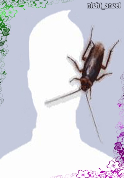 অসাধারণ ৫ টি PNG Photo Frame ডাউনলোড করে না নিলেয় মিস। :)