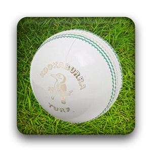 খুবই দরকারী একটা সফটওয়্যার…।। ক্রিকেট ক্যালকুলেটর!!(আপডেটেড)