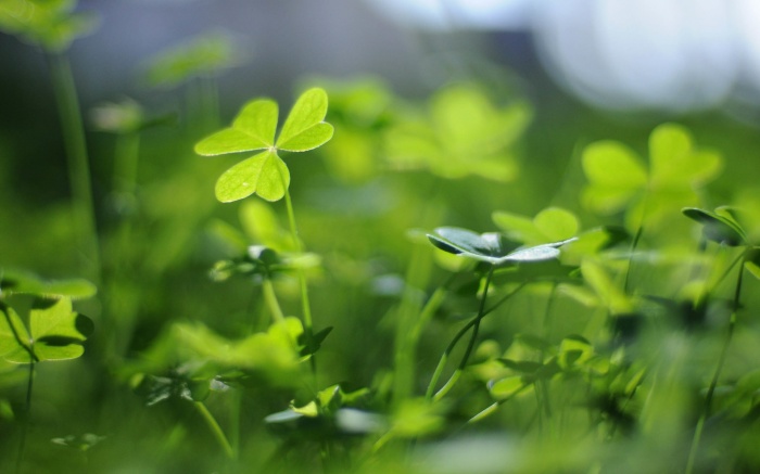 windows 7 এ নিজের বয়স বের করুন (softwer ছারা )