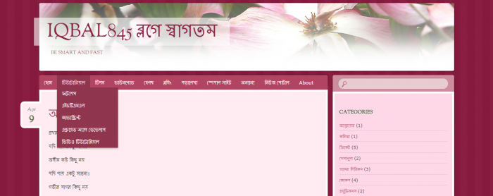 ওয়ার্ডপ্রেসের ড্রপডাউন মেনুর সমাধান চাই।