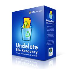 serial key সহ full version undelete যে কোন কিছু আবার পাবেন