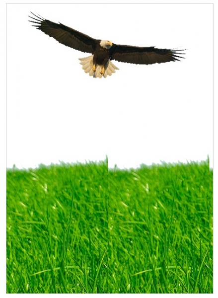 সিএসএস দিয়ে একের অধিক ব্যাকগ্রাউন্ড ইমেজ দেওয়া।