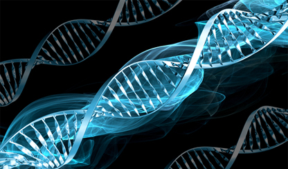 কম্পিউটার সাইন্স এবং বৃত্তের বাহিরের চিন্তা…