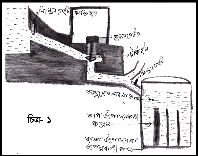 বৃষ্টি নামানোর প্রকল্প এ দেখানো হল কি ভাবে পৃথিবীর তাপমাত্রা কমানো যাবে