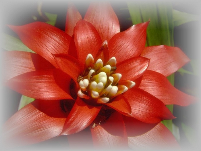 ই-বুক ডাউনলোডের জন্য সাহায্য চাই