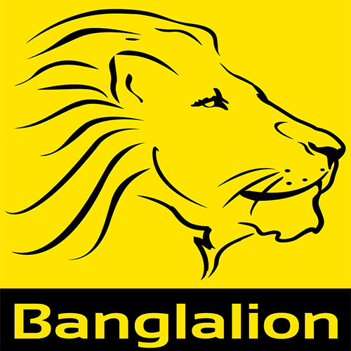 কিভাবে বাংলালায়ন মডেম USB সাপোর্ট ওয়াইফাই রাউটার এ ব্যবহার করব?