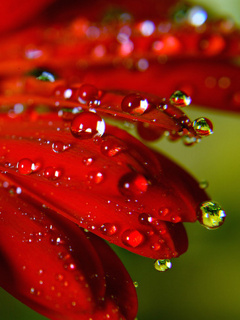 একটি গুগল এডসেন্স একাউন্ট কিনব