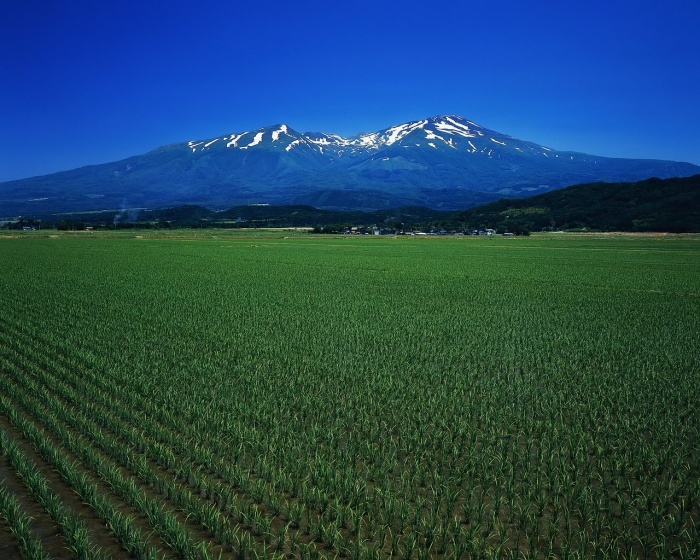 কম্পিউটার সাইন্সে  অথবা ফ্রিলেন্সিং এ লার্নিং ইংলিশ  [ টিউন  01  ]