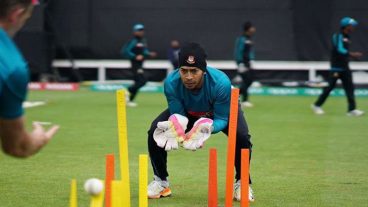 র‍্যাবিটহোল অ্যাপে ফোনে খেলা দেখুন