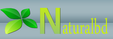 Naturalbd.com থেকে Internet Download Manager দিয়ে ৭০০/৮০০ কেবিপিএস এ ডাউনলোড করুন…।। ( ISPROS ব্রডব্যান্ড ইউজারদের জন্য )