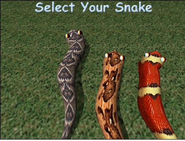 মাত্র 4 মেগাবাইটের একটি 3D স্নেকস গেম। খেলে দেখুন আশা করি ভা্ল লাগবে।