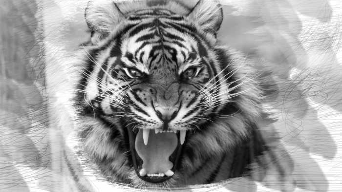 আজকে থাকছে কি ভাবে অ্যাডোব ফটোশপ ব্যবহার করে stylish pencil sketch ইফেক্ট তৈরি করা যায় তার উপর টিউটোরিয়াল