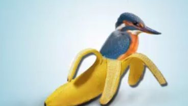 Photoshop How to create Banana Bird In Photoshop Tutorial And Photo Manipulation Photoshop Tutorial