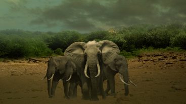 খুব সহজে অসাধারণ একটি ফটোশপ দিয়ে ডেস্কটপ ওয়ালপেপার তৈরি করুন