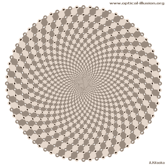 brown_spiral_illusion