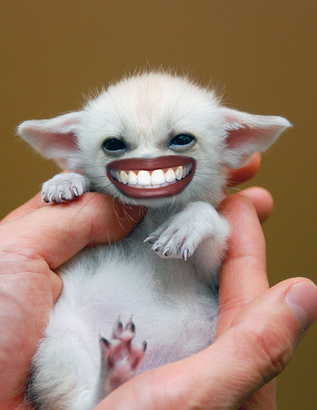 ec_1253_1249196044.post