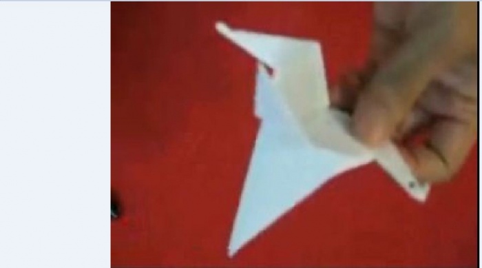 কাগজ দিয়ে বানান পাখি খুব সহজেই আপনার আশেপাশের সোনামণিদের জন্য