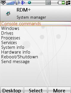 system manager