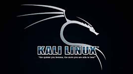 Kali Linux Security (সরকারী কিছু সাইট মারাক্তক ভাবে ঝুকিপূর্ণ অবস্থায়)