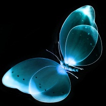 সবচেয়ে সহজ উপায়ে পিসির RAM পরিষ্কার করুন… (কোন সফটওয়্যার ছাড়া)