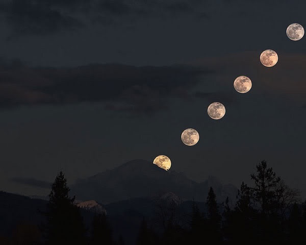 এখন আপনার Wapka Site এ File Upload করুন অন্য Website থেকে