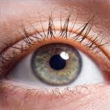 অবশেষে দৃষ্টিশক্তি ফিরে পাবার জিন আবিষ্কৃত হলো….”দেখ হে চাহিয়া,নয়ন মেলিয়া”