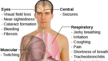 পৃথিবীতে অক্সিজেনের পরিমান যদি ২গুণ হয় তবে যা হবে