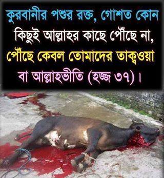 কোরবানির দিন ও কোরবানির দিনের ফজিলত