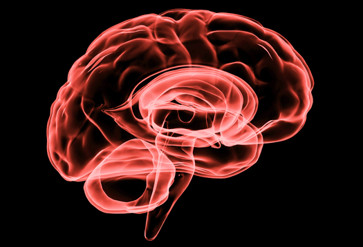 জীবনের সবচেয়ে গুরুত্বপূর্ণ সময়ে আপনার কাজে লাগবেই। জেনে রাখার চেস্টা করুন। সম্ভব হলে অন্যকেও জানান!