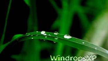 এখন ভিডিও বাকগ্রাউন্ড চেঞ্জ করুন আপনার মোবাইল দিয়ে