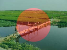 Bangladesh Flag Filter – আপনার ছবিতে মিশান বাংলাদেশ পতাকার রং (AppsforBD)