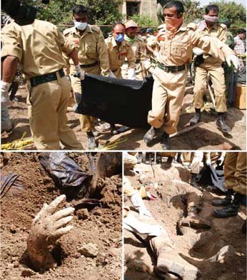 n1532226239_30204411_4082762