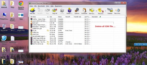 Remove all IDM links