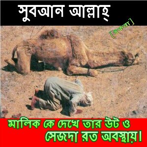 ভাইরে সাহায্য চাই । ভাইরে সাহায্য চাই ।