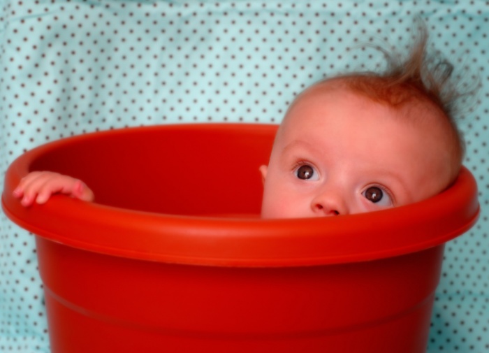 টরেন্ট ফাইল ডাউনলোড এ সাহায্য করুন