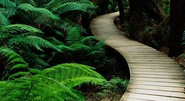 এখন থেকে মোবাইল চালান ইচ্ছা মত চোখের কোন ক্ষতি হবে না।