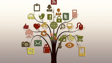 ডোমেইন অথরিটি এবং ওয়েবসাইট র‍্যাংকিং