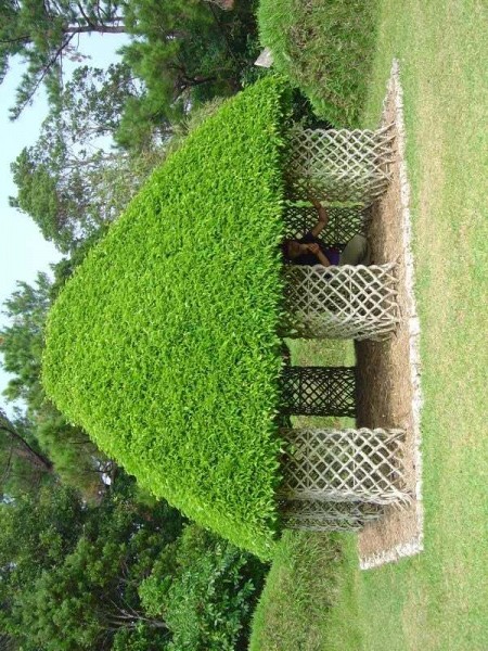 আমি সবার মাঝে নতুন তাই সবার কাছে দোআ চাই