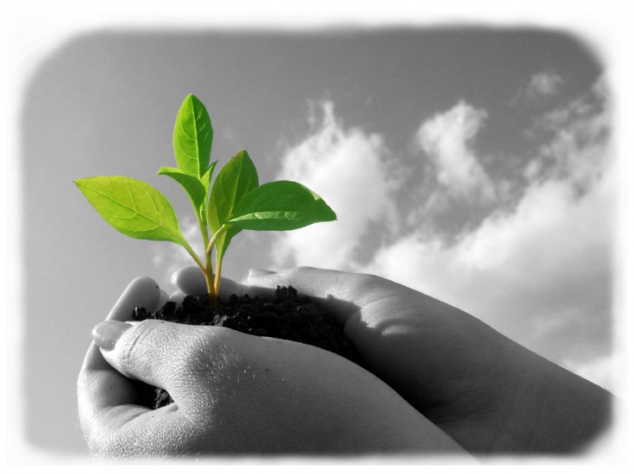 স্বপ্ন দেখে যারা সফলতা অর্জন করতে চান তাদের জন্য। স্বপ্নের সূচনা এখান থেকেই