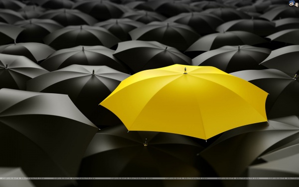 যারা নোটপ্যাড দিয়ে অটোরান তৈরিতে বিফল তারা এইদিকে আসেন