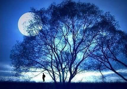 Record করুন skype ভিডিও কল