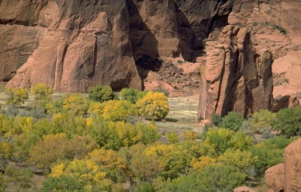 কিছু দুর্লভ ছবির কালেকশন part-2