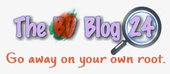bdblog24.wordpress.com
