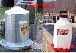 ফরমালিন কি, এর প্রকৃত  ব্যবহার,অপব্যবহার, সনাক্ত করণ ও দূরীকরণ পদ্ধতি